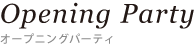 LinkIcon