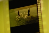 shinoda_love7-106.jpg